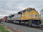 NS 1800